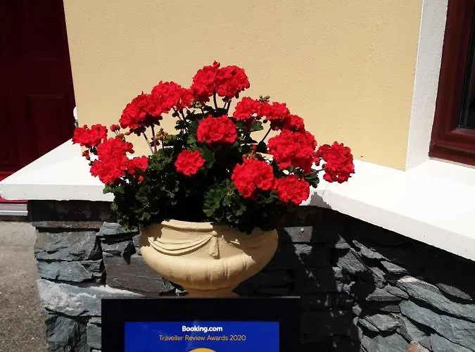 Kayden House 招待所